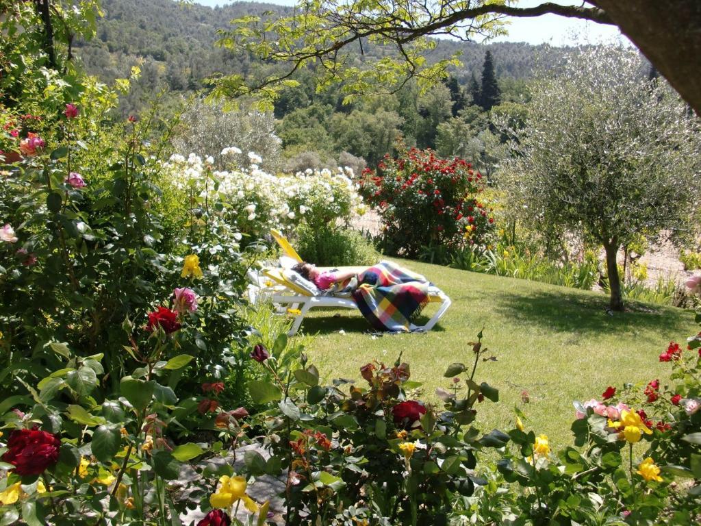 Bed and Breakfast Le Grand Jardin Lafare Екстер'єр фото