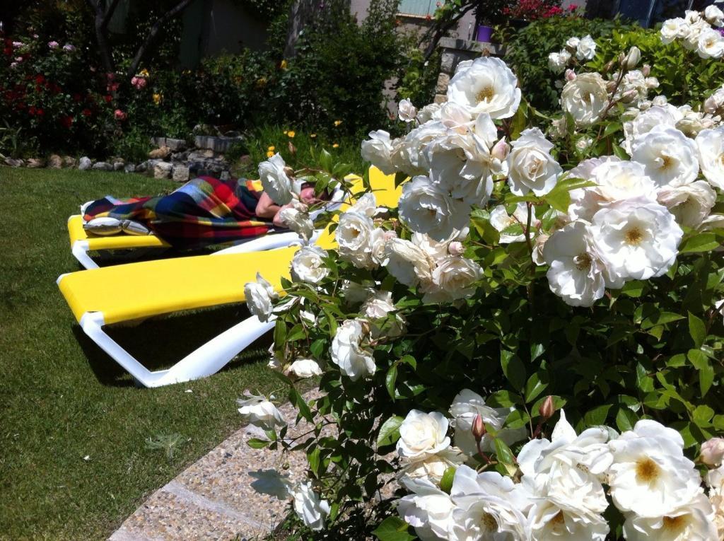 Bed and Breakfast Le Grand Jardin Lafare Екстер'єр фото