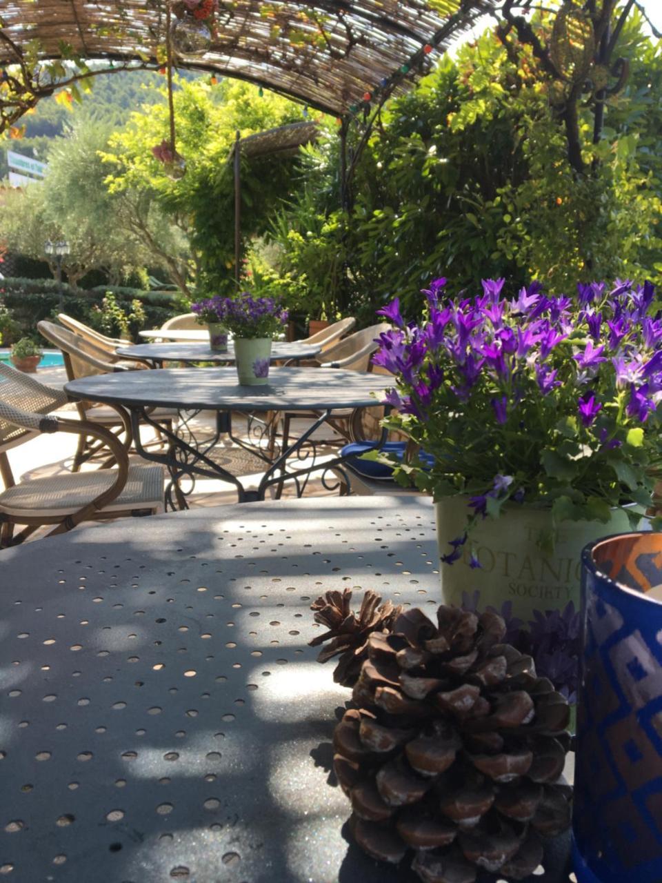 Bed and Breakfast Le Grand Jardin Lafare Екстер'єр фото