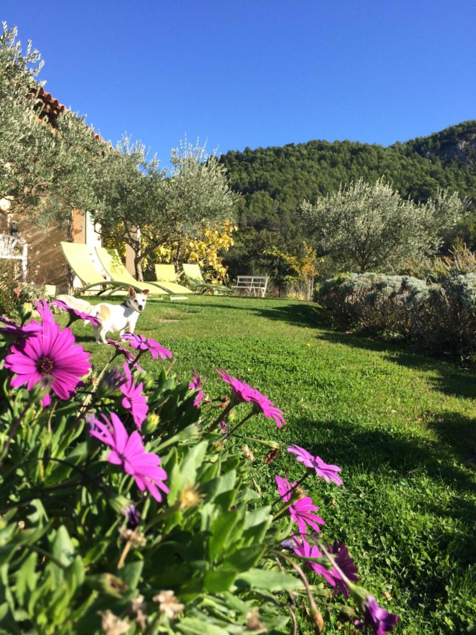 Bed and Breakfast Le Grand Jardin Lafare Екстер'єр фото